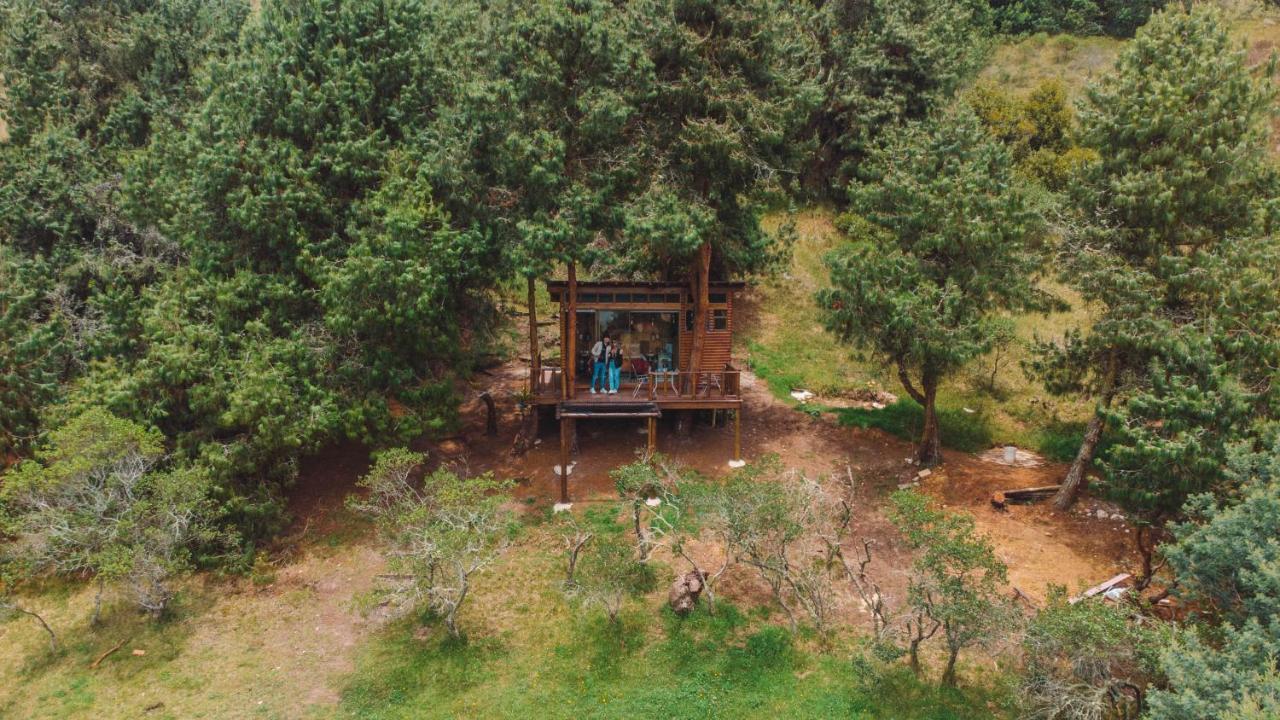 Alma De Campo Glamping - Laguna De Suesca Bagian luar foto