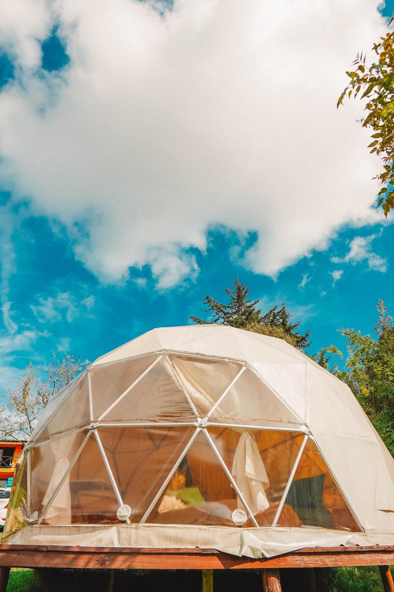 Alma De Campo Glamping - Laguna De Suesca Bagian luar foto
