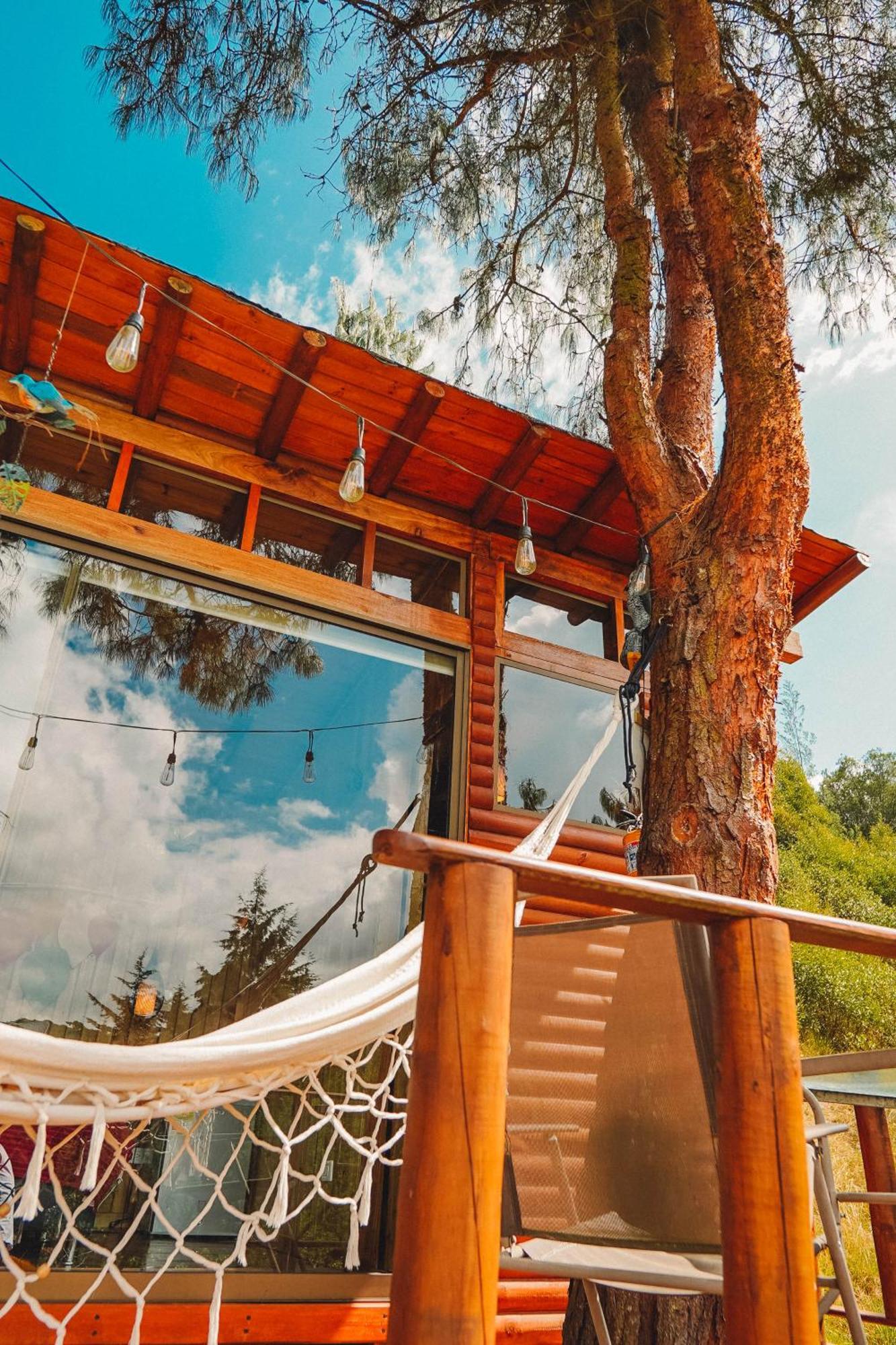 Alma De Campo Glamping - Laguna De Suesca Bagian luar foto